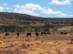 3x Kings Canyon - Alice Springs  YP__4313