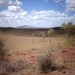 3x Kings Canyon - Alice Springs IMAG2624