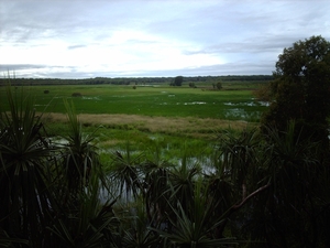 6a Kakadu _NP  IMAG2680