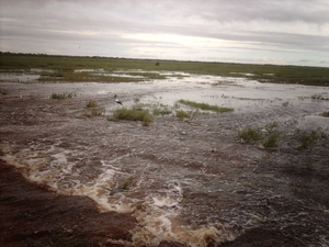 6a Kakadu _NP  IMAG2681