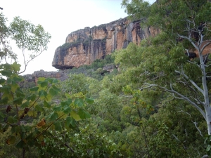 6a Kakadu _NP  IMAG2723