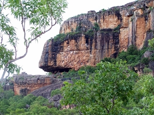 6a Kakadu _NP  YP__4423