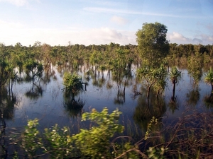 6a Kakadu _NP  YP__4428