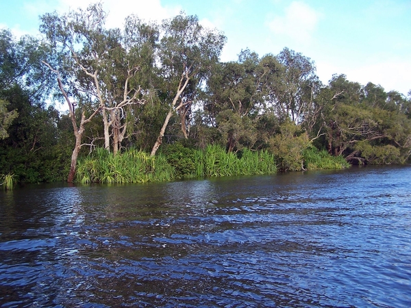 6a Kakadu _NP  YP__4434