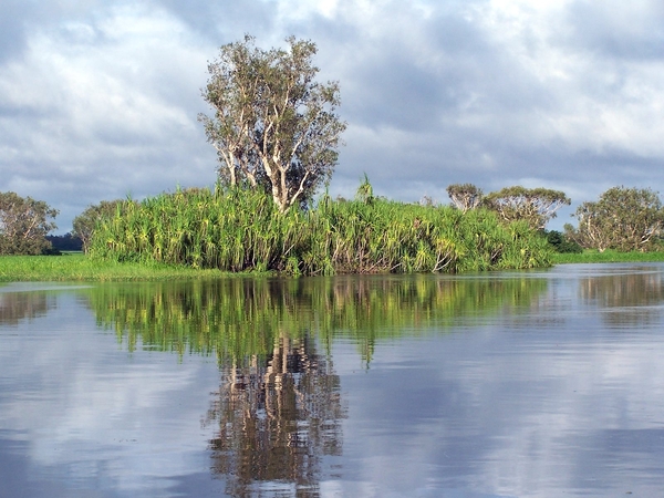 6a Kakadu _NP  YP__4441