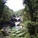 7a Cairns _omg_tropisch regenwoud  IMAG2887