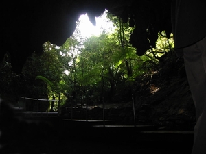 1c Waitomo caves met glimwormen_uitgang grotten