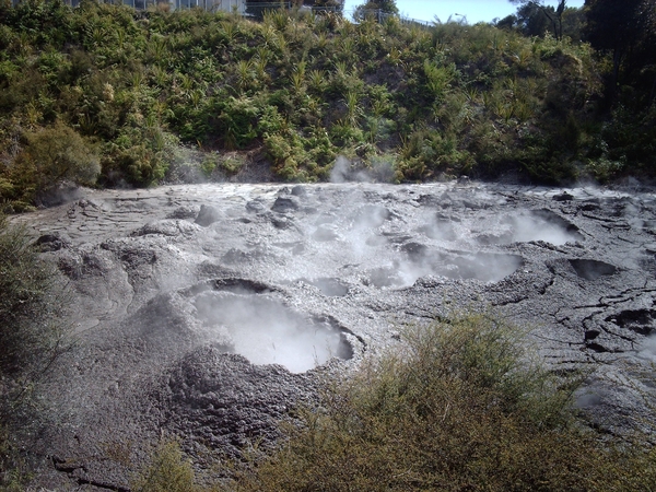 2b Whakarewarewa  geiser site  IMAG3119