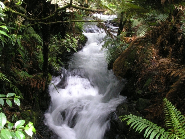 2c Rotorua _omg_ Buried Village of Te Wairoa _waterval