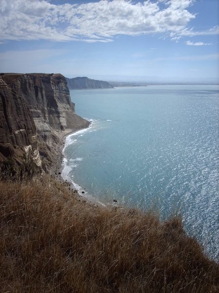 3d Napier omg_ Cape Kidnappers  IMAG3339