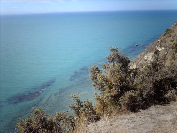 3d Napier omg_ Cape Kidnappers  IMAG3340