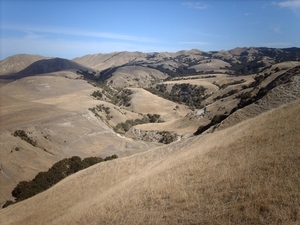 3d Napier omg_ Cape Kidnappers  IMAG3344