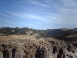 3d Napier omg_ Cape Kidnappers  IMAG3395