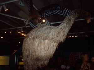 4a Wellington _Te Papa museum  IMAG3485