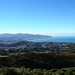 4a Wellington __Panorama 3