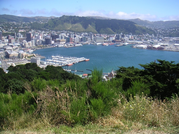 4a Wellington __stad en baai  zicht 2