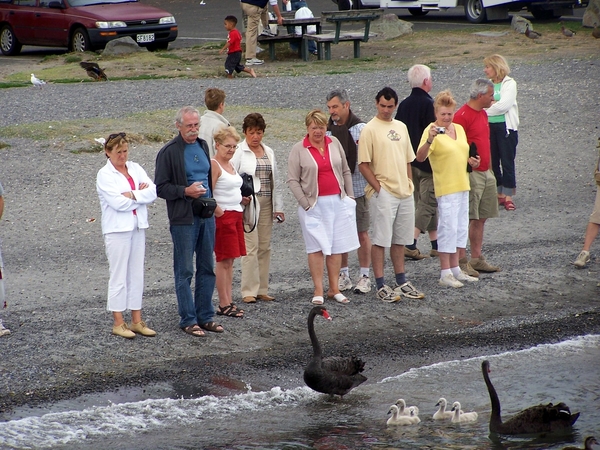 2g Taupo-meer  Yvan 1081