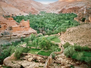 3 Ouarzazate  - Erfoud  Dadès oase