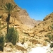 3 Ouarzazate  - Erfoud  Todra kloof 2