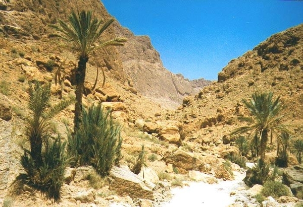 3 Ouarzazate  - Erfoud  Todra kloof 2
