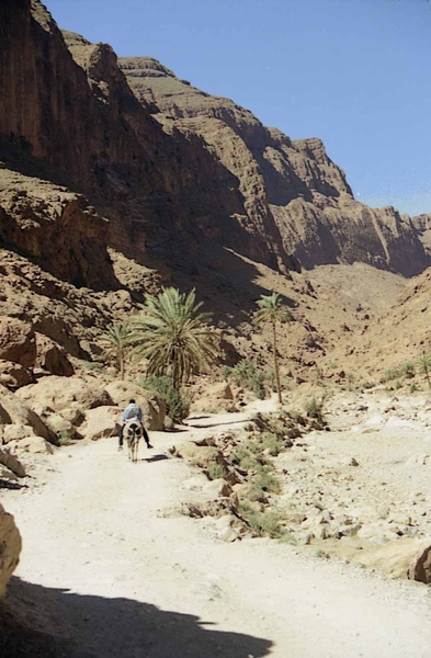 3 Ouarzazate  - Erfoud  Todra kloof 4