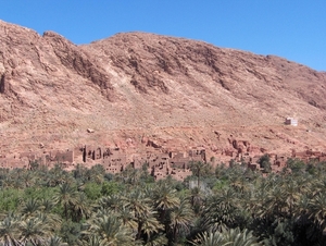 3 Ouarzazate  - Erfoud  Todra kloof _oase bij de ingang