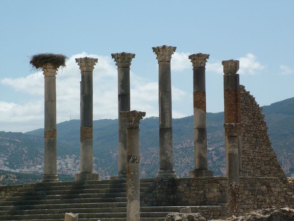 4b  Meknes - Fes  Volubilis Romeinse site 3