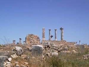 4b  Meknes - Fes  Volubilis site 5