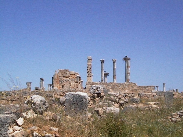 4b  Meknes - Fes  Volubilis site 5