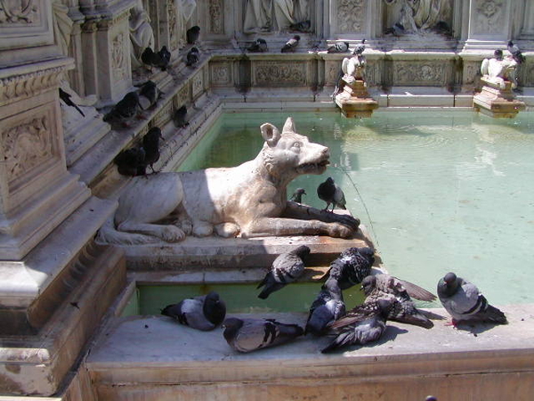 zonnebaden