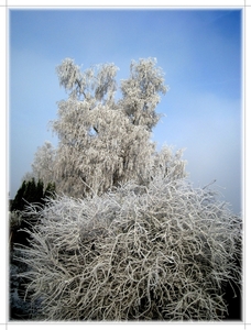 winter 1