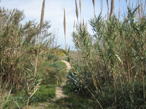 duinen Guardamar