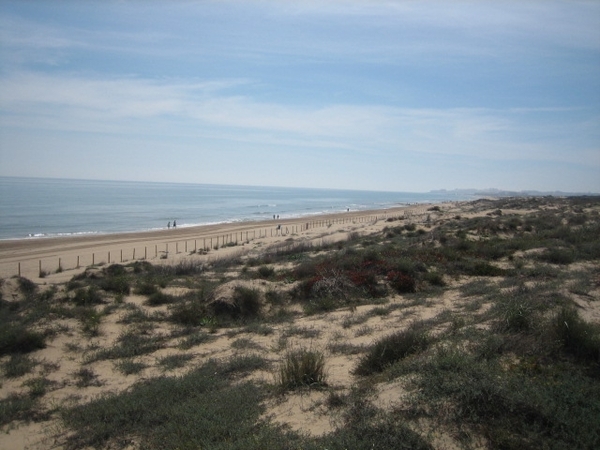 Guardamar strand