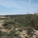 Guardamar door de duinen naar het strand