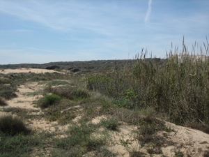 Guardamar door de duinen naar het strand