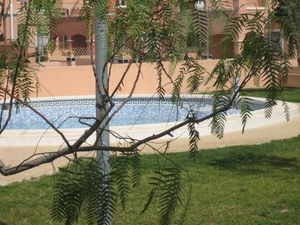 zwembad naast ons huis