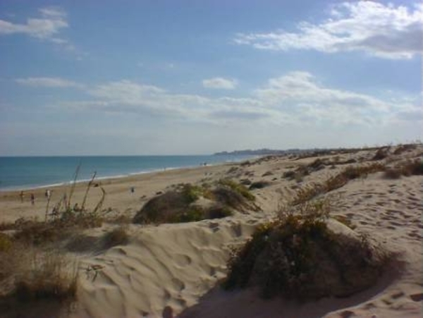 duinen