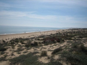 duinen en strand GUARDAMAR