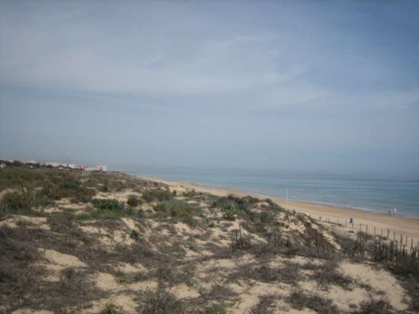 duinen en strand GUARDAMAR-800