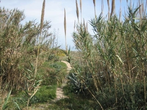 duinen GUARDAMAR