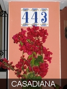 CASA DIANA foto's april 09