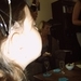 IMG00318