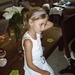 IMG00340