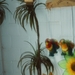 IMG00350
