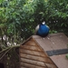 IMG00359