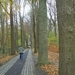 Mooie dreef in Deurle
