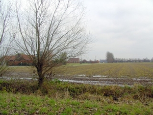 Astene