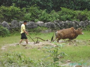 2 Yangshuo_rivier en omgeving_PICT1194