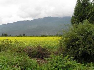 4 Lijiang _Baisha landschap