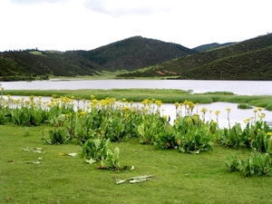 4 Lijiang _Nanyao landschap